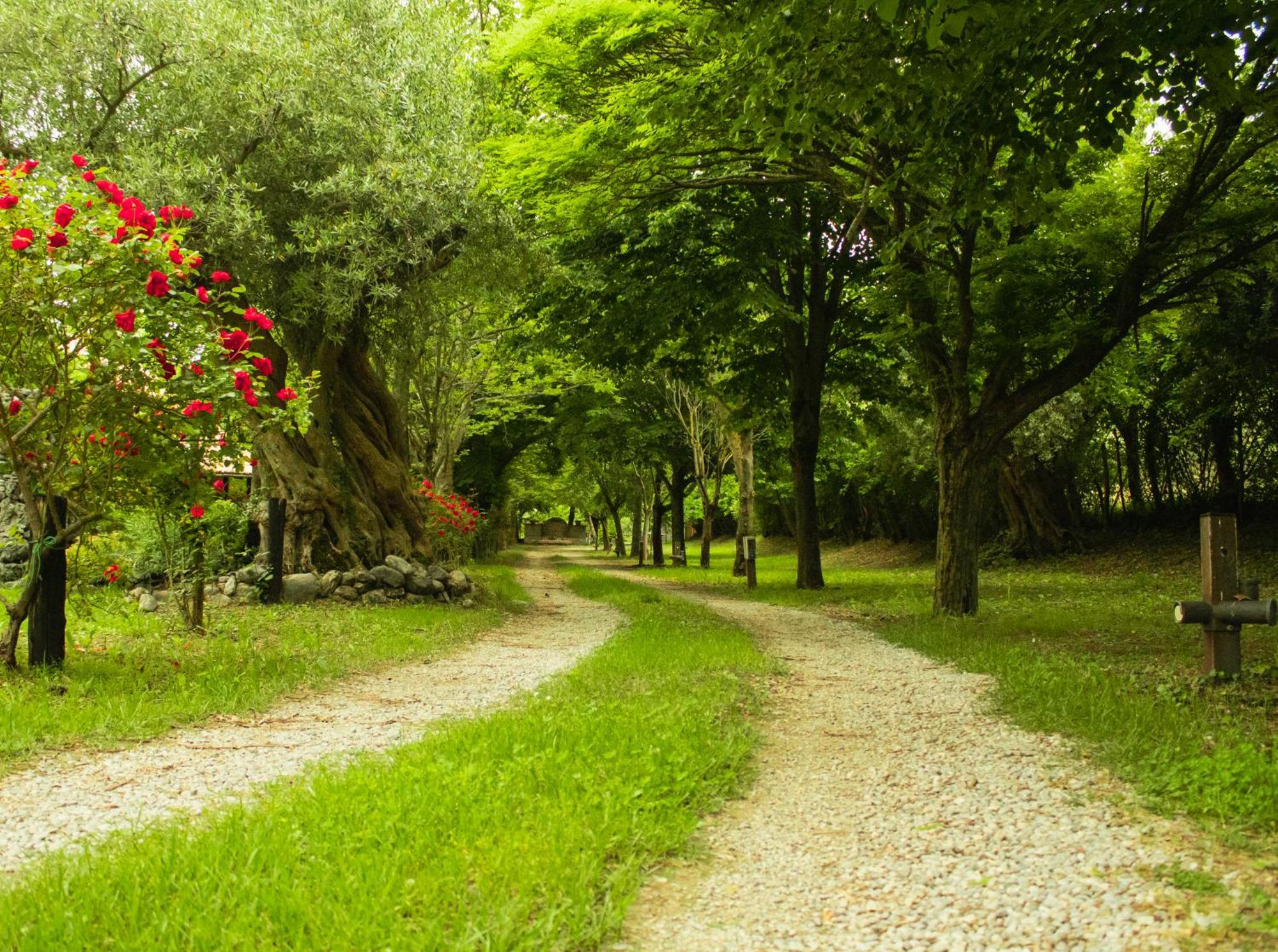 Agriturismo La Locanda Del Parco Morano Calabro Dış mekan fotoğraf