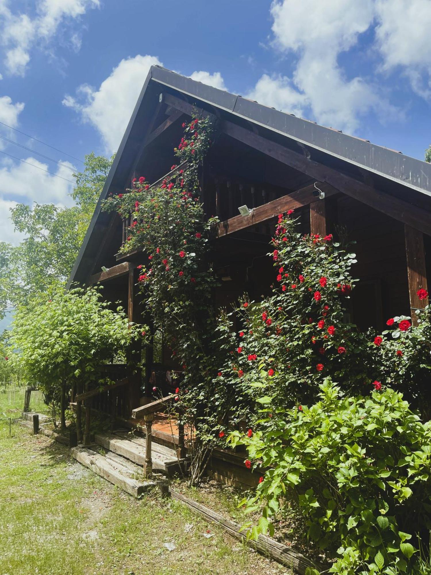 Agriturismo La Locanda Del Parco Morano Calabro Dış mekan fotoğraf