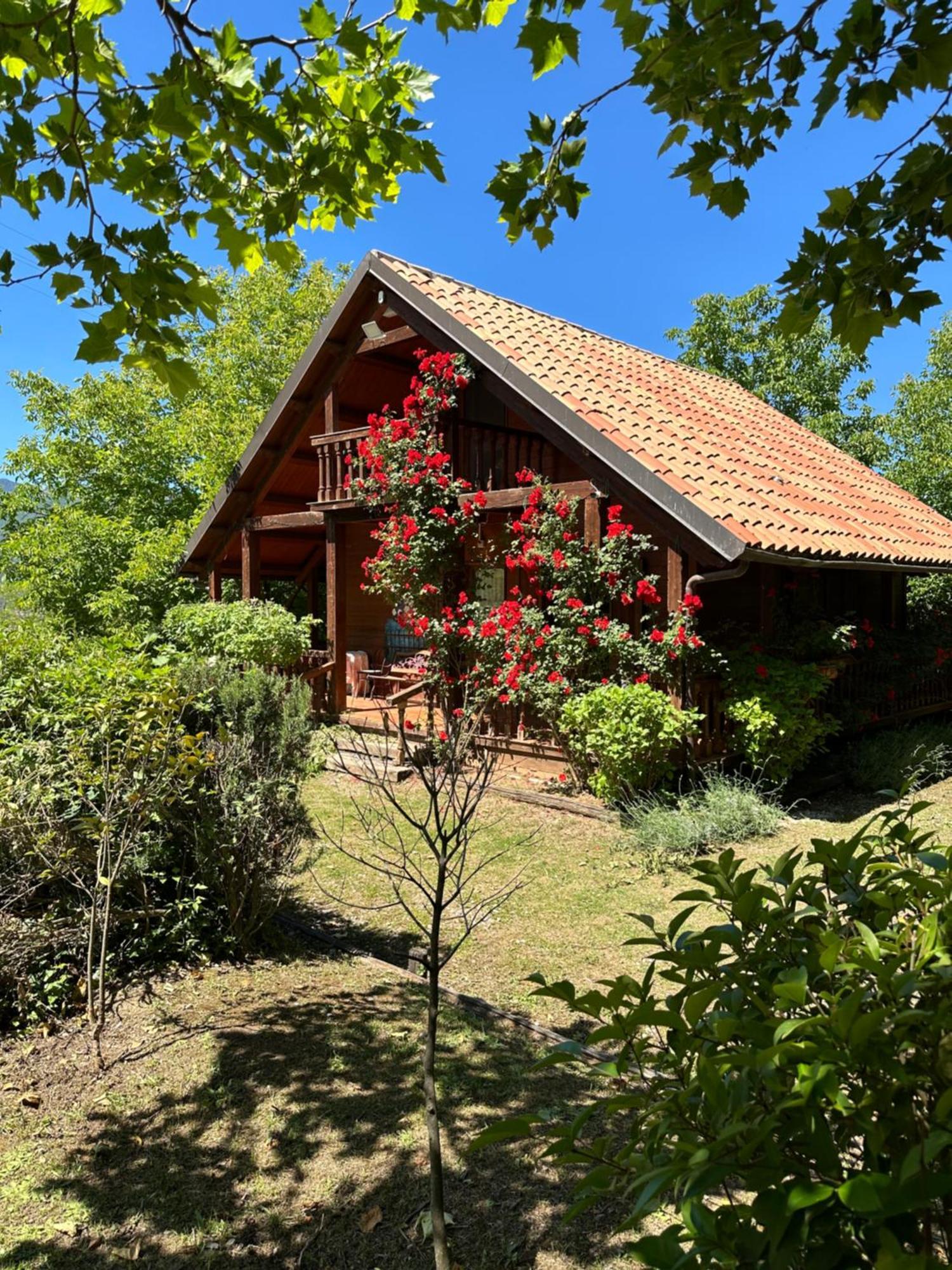 Agriturismo La Locanda Del Parco Morano Calabro Dış mekan fotoğraf