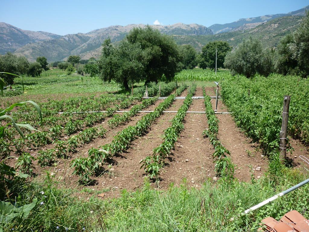 Agriturismo La Locanda Del Parco Morano Calabro Dış mekan fotoğraf